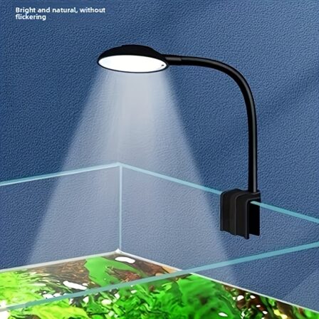 iluminación & Luces